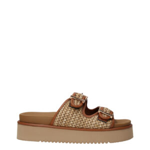 WCUBED 50091 BROWN