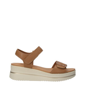 WCUBED 50107 CAMEL