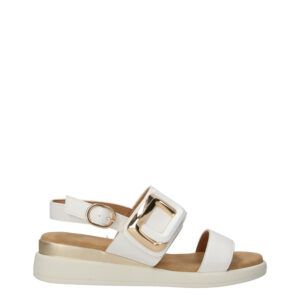 WCUBED 50157 WHITE